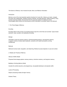 The Science of Memory: Encoding, Storage & Retrieval