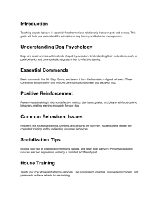 Dog Training & Behavior Guide: Essential Commands & Socialization Tips