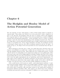 The Hodgkin and Huxley Model of Action Potential Generation | Neuroscience