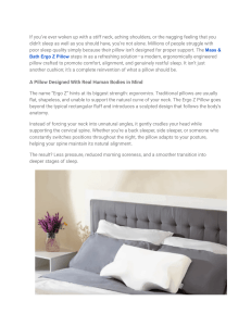 Ergo Z Pillow Reviews