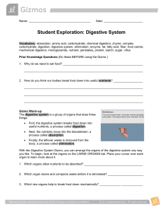 Digestive System Student Exploration: Gizmo Activity Guide & Worksheet
