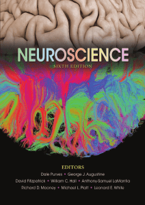 Neuroscience 6th edition by Date Purves PDF Textbook