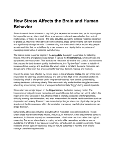 How Stress Affects the Brain and Human Behavior