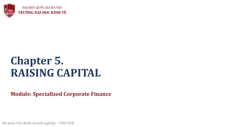 Raising Capital in Corporate Finance Guide