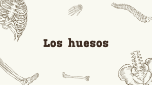Los huesos