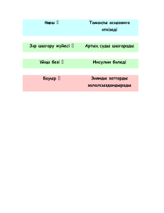 Адам ағзасының мүшелері мен қызметтері: Биологиялық анықтамалық