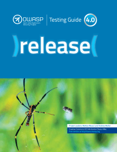 OWASP Testing Guide 4.0: Web Application Security Testing Manual
