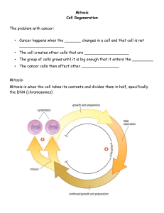 Mitosis and Cell Regeneration Workbook