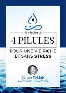 4 Pilules pour une vie riche et sans stress