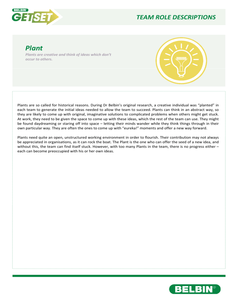 Belbin Team Role Descriptions: Understanding Workplace Dynamics