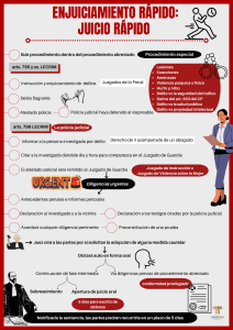 Procedimiento del Juicio R&aacute;pido