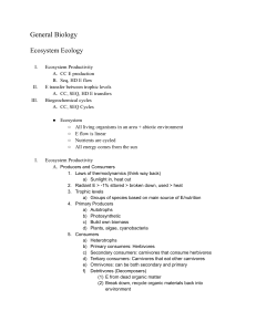 Ecosystem Ecology: Productivity, Energy Flow, and Biogeochemical Cycles