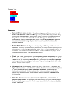 Tree Topics: Examples of Sakura, Bonsai, Maple, and More