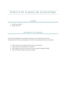 Floods & Ecosystems Impact Worksheet