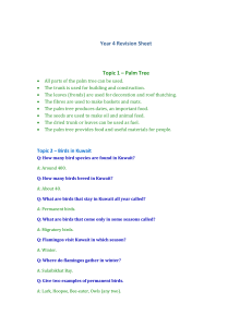 Year 4 Revision Sheet: Palm Trees, Birds in Kuwait, Camels