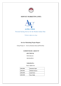 Alphaverse Service Marketing Project Report
