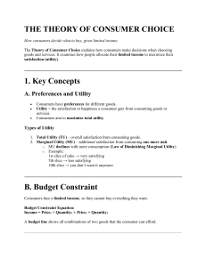 Theory of Consumer Choice Guide
