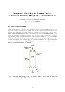 Multiscale Tubular Reactor Design Coursework