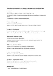 ECG Waveform & Heart Activity Guide