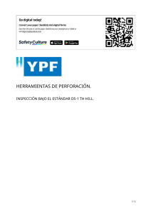 Formulario de Inspecci&oacute;n DS-1 Herramientas