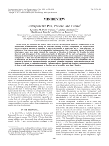 Carbapenems: Past, Present, and Future