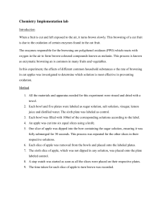 Chemistry Lab: Preventing Apple Browning with Household Substances