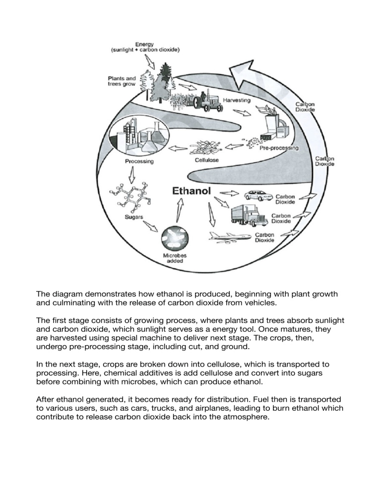 Ethanol Production Process: From Plants to Fuel
