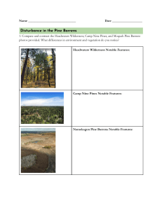 Wisconsin Pine Barrens Ecology Worksheet