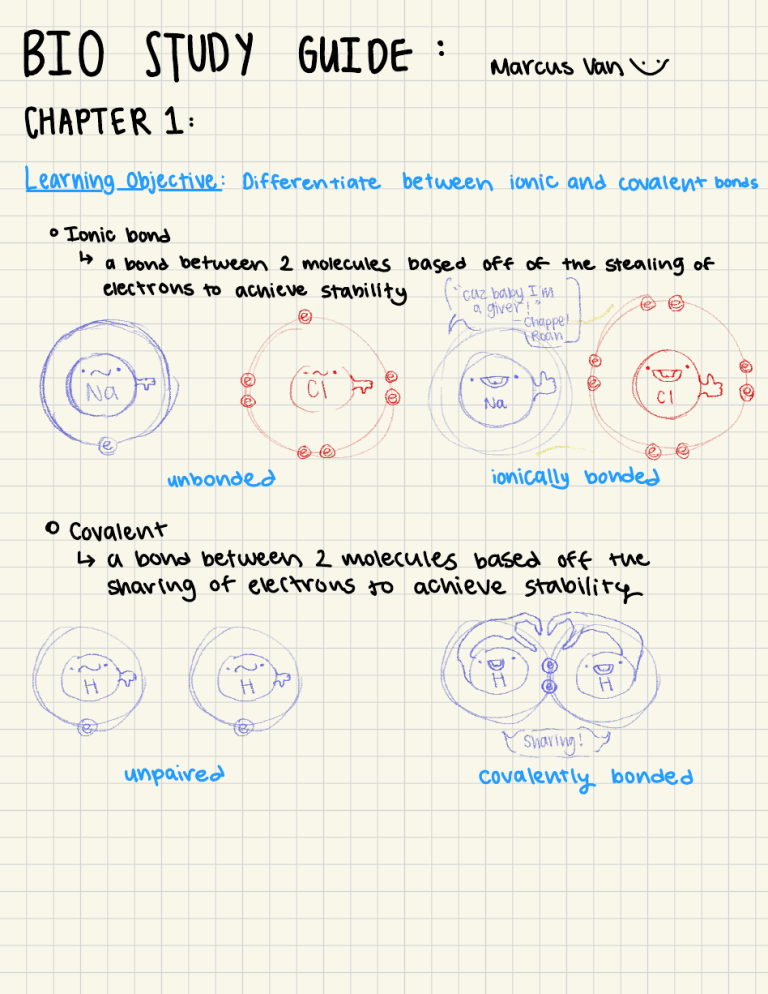 BIO Study Guide: Ionic & Covalent Bonds, Lipids, Nucleic Acids
