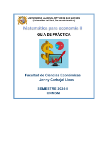 Gu&iacute;a de Pr&aacute;ctica Matem&aacute;tica para Econom&iacute;a II UNMSM