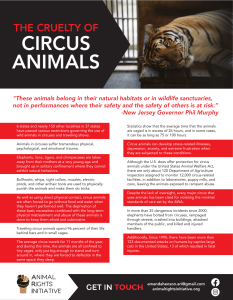 The Cruelty of Circus Animals