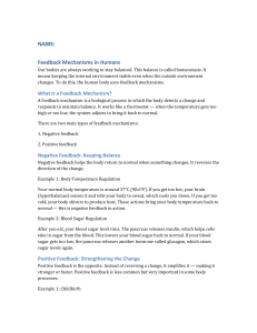 Feedback Mechanisms in Humans: Homeostasis Explained