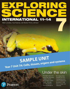 Exploring Science 11-14 Year 7 Sample Unit: Under the Skin