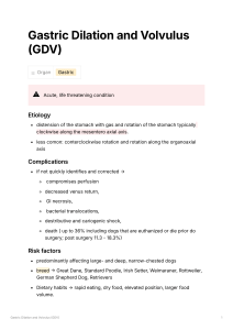 Gastric Dilation and Volvulus (GDV) in Dogs
