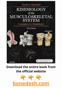 Kinesiology of the Musculoskeletal System Foundations for Rehabilitation 3rd Edition
