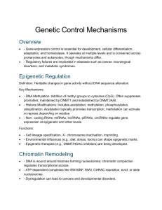 Genetic Control Mechanisms Overview
