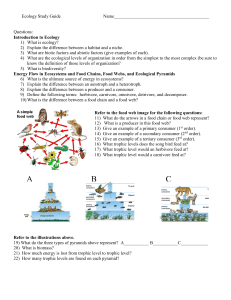 Ecology Study Guide Q&A