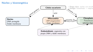 Biolog&iacute;a Celular: Org&aacute;nulos Eucariontes