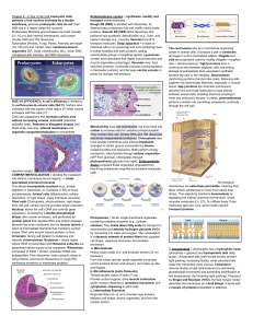 Cell Biology: Structure and Function Study Guide