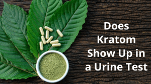 Does Kratom Show Up in a Urine Test