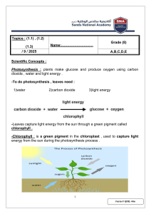 Grade 8 Science: Photosynthesis & Carbon Cycle