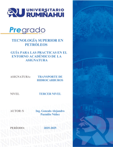 Gu&iacute;a Pr&aacute;ctica Transporte de Hidrocarburos