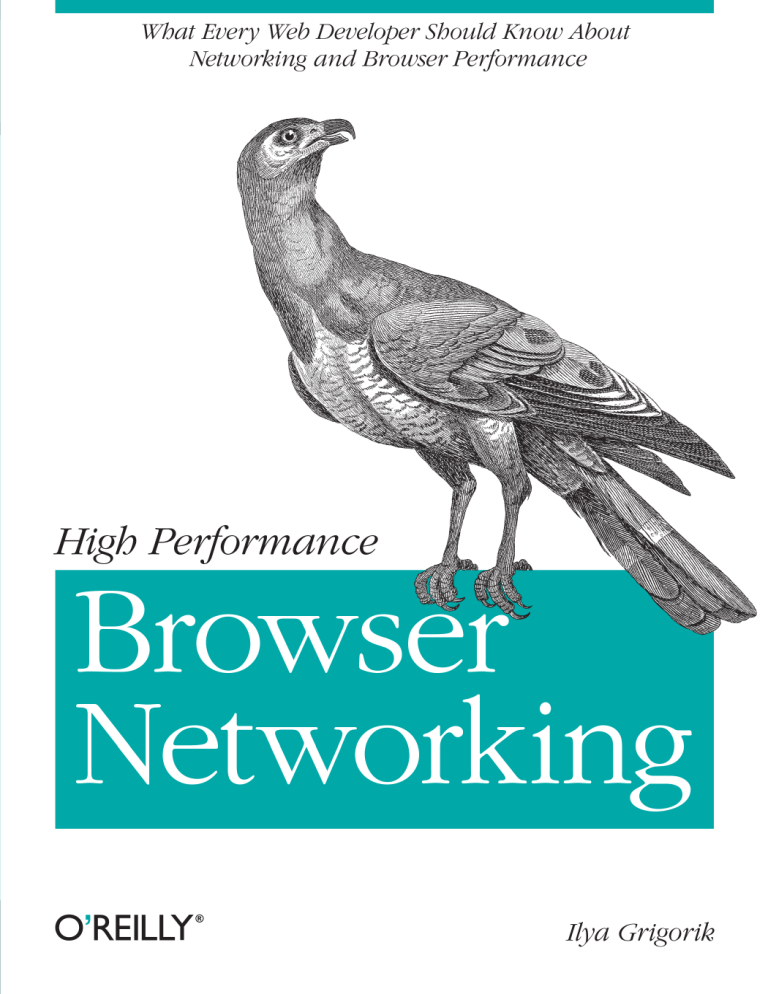 High-Performance Browser Networking Guide