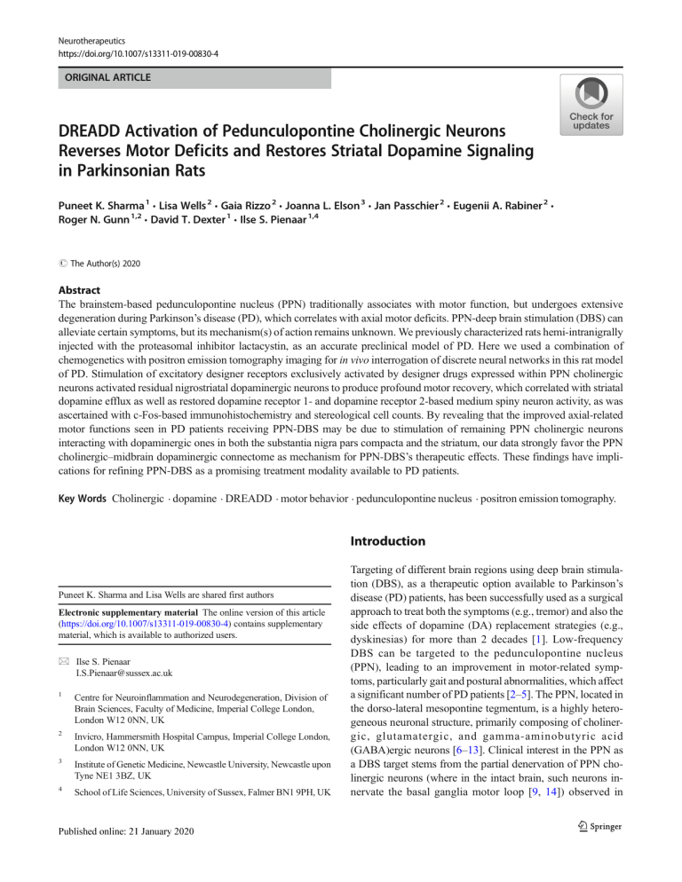 DREADDs Reverse Motor Deficits in Parkinsonian Rats