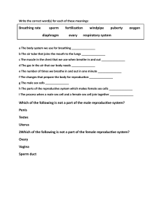 Respiratory & Reproductive Systems Worksheet