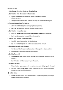 AQA Biology Guide: Growing Bacteria Safely