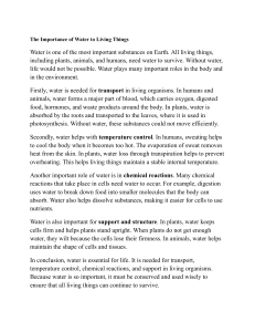 Importance of Water for Living Things
