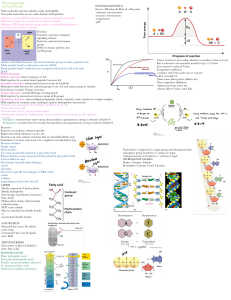 Biochemistry Study Notes | Enzymes & Macromolecules