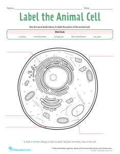 Animal Cell Labeling Worksheet