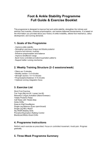 Foot & Ankle Stability Exercise Programme